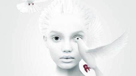 White dove and a white girl wallpaper