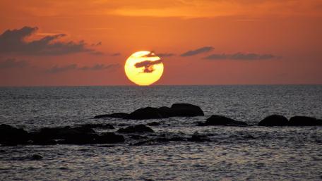 Sunset at the sea wallpaper