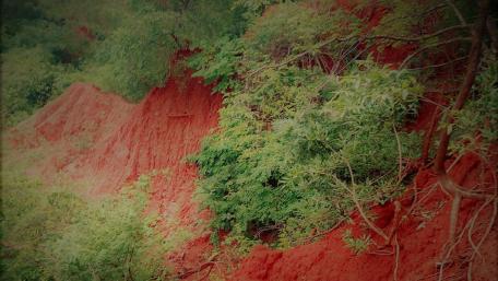 Soil erosion wallpaper