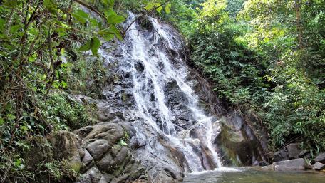Serene Waterfall in Lush Greenery wallpaper