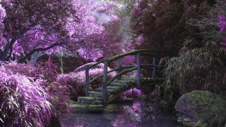 Fairy Land wallpaper