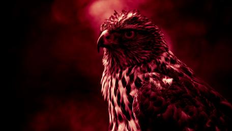 Red effect wallpaper