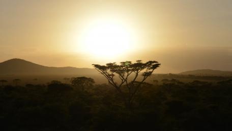 Sun wallpaper