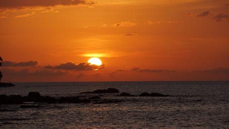 Sunset in paradise wallpaper
