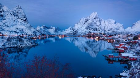 Reine wallpaper
