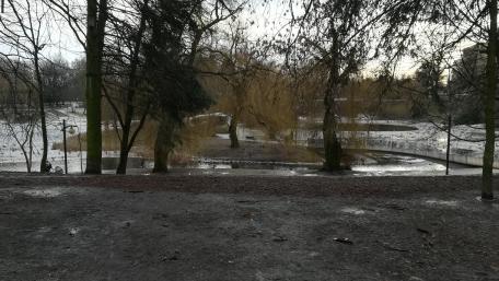 Park in Warsaw wallpaper