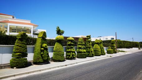 Figure green bushes wallpaper