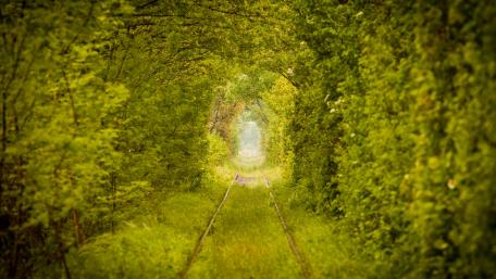 Tunnel of Love (Ukraine) wallpaper