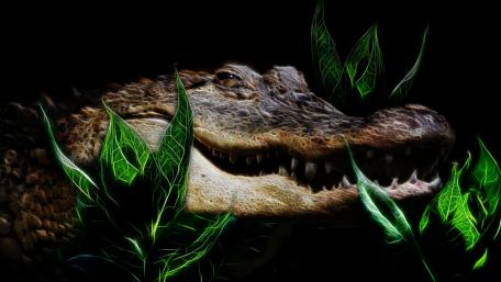 Fractalius crocodile wallpaper