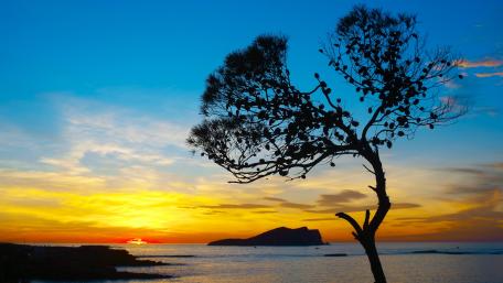 Sunset wallpaper