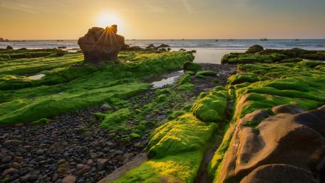Beach Co Thach wallpaper