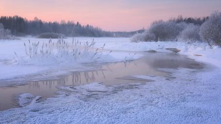 Hoarfrost around the frozen river wallpaper