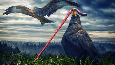 Birds digital art wallpaper
