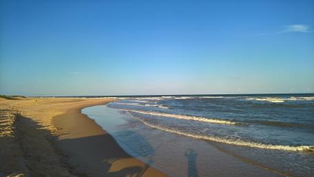 Beautiful wallpaper