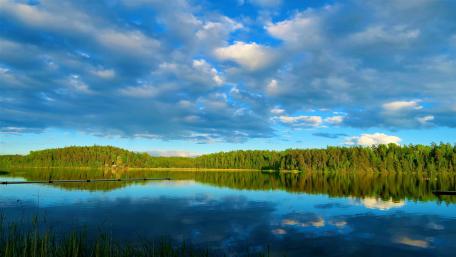Green forest reflected in a lake wallpaper