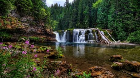 Lower Lewis River Falls wallpaper