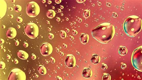 Sunny Bubbles wallpaper