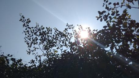 glowing sun wallpaper