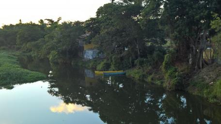 Tranquil River Reflections in Nature wallpaper