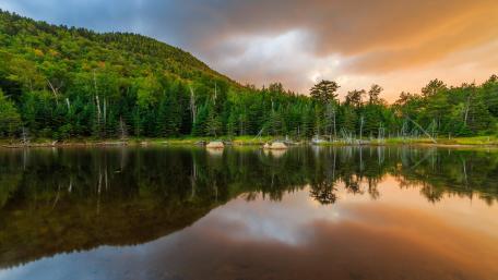 Beautiful reflection wallpaper
