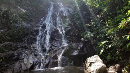 Tranquil Waterfall Amidst Lush Greenery wallpaper