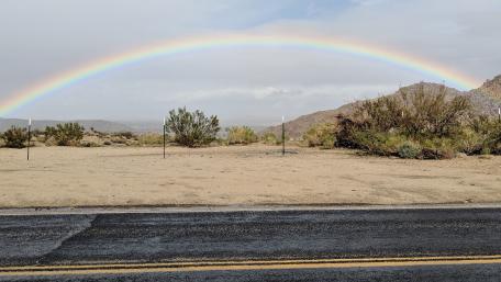 Joshua Tree Park Rainbow wallpaper