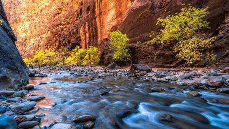 Stream bed wallpaper