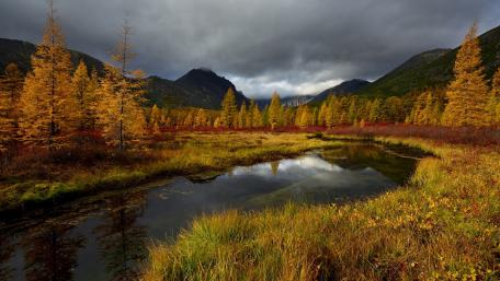 Autumn Bliss in the Highlands wallpaper