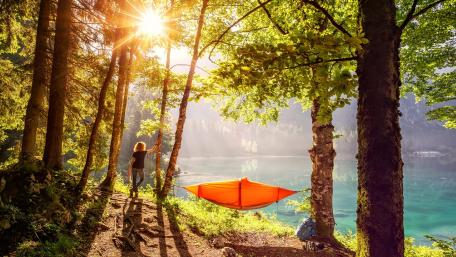 Embracing Nature's Serenity in a Hammock wallpaper