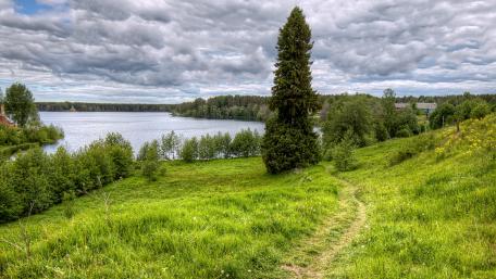 Lakeside pathway wallpaper