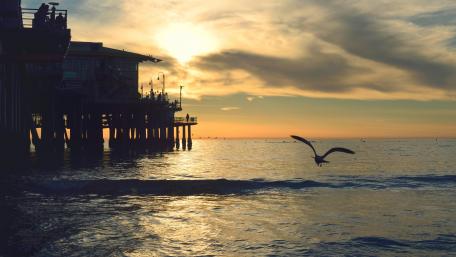 Santa Monica Pier wallpaper