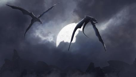 Two black dragons wallpaper