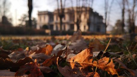 Autumn Cityscape Serenity wallpaper