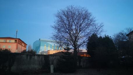 Cityscape at Dusk with Silhouetted Tree wallpaper