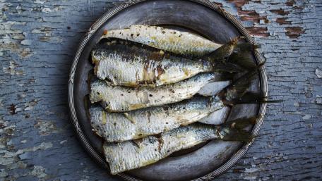 Mediterranean Seafood Delight Wallpaper wallpaper