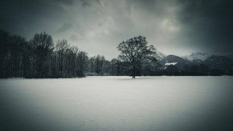 Monochrom winter scenery wallpaper