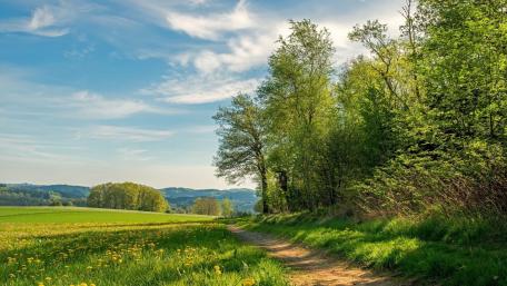 Spring landscape wallpaper