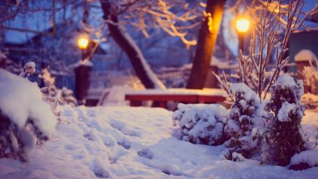 Winter Wonderland Beneath Soft Street Lights wallpaper