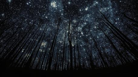 Starry sky low angle view wallpaper