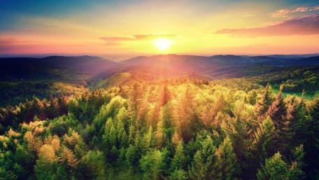 Sunlit Hills and Forest Landscape in 4K Quality wallpaper