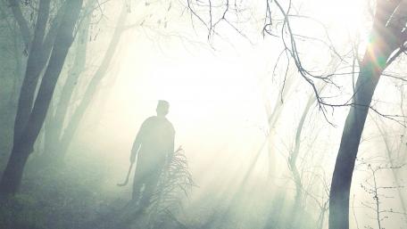 Ethereal Walk in the Misty Forest wallpaper