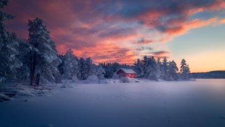 Snowy Ringerike wallpaper