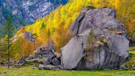 Yellow autumn landscape wallpaper