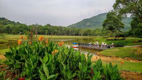 Seethawaka Wet Zone Botanical Garden wallpaper