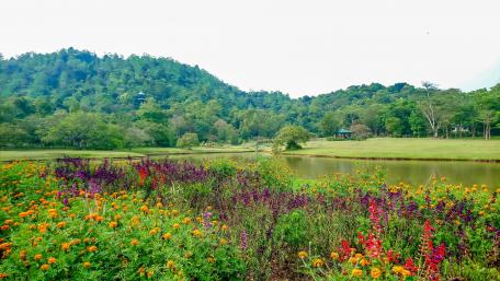 Seethawaka Wet Zone Botanical Garden wallpaper