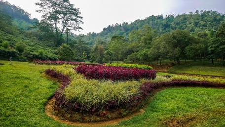 Seethawaka Wet Zone Botanical Garden wallpaper