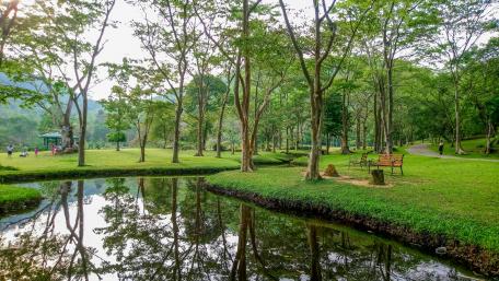 Seethawaka Wet Zone Botanical Garden wallpaper