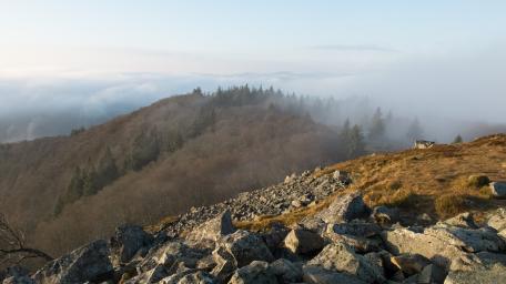 Massif vosgien wallpaper