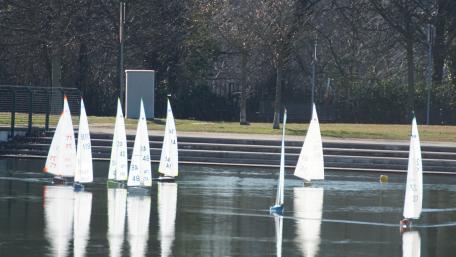 Sailing Regatta at the Lake wallpaper