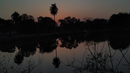 sunset wallpaper